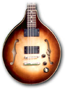 Traditional style bouzouki