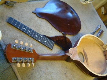 1909 Gibson Mandolin restoration