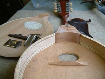 1909 Gibson Mandolin restoration